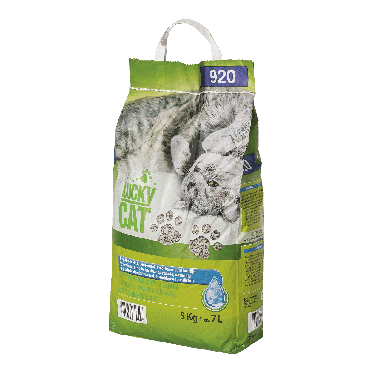 Aldi kitten online