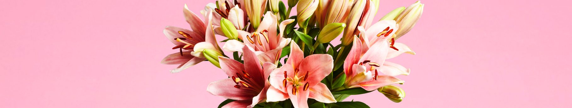 Frische Blumen kaufen? Entdecken Sie sie alle ALDI Luxemburg